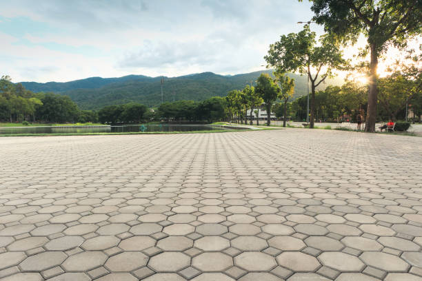 Best Interlocking Driveway Pavers  in Clear Lake Shores, TX